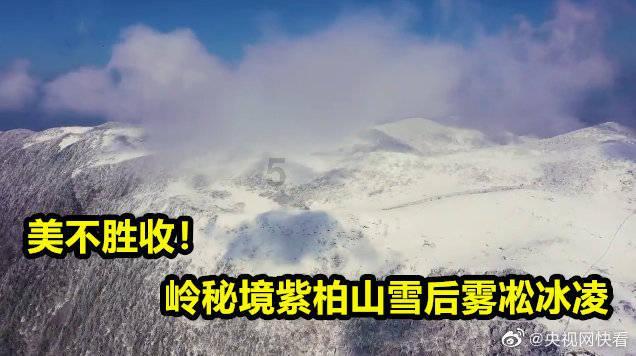蘑菇女孩救援