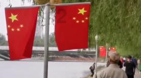 新疆棉花，到底凭什么是世界顶级？游戏画面